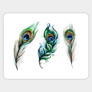 Peacock Feather Hand Drawn Sticker